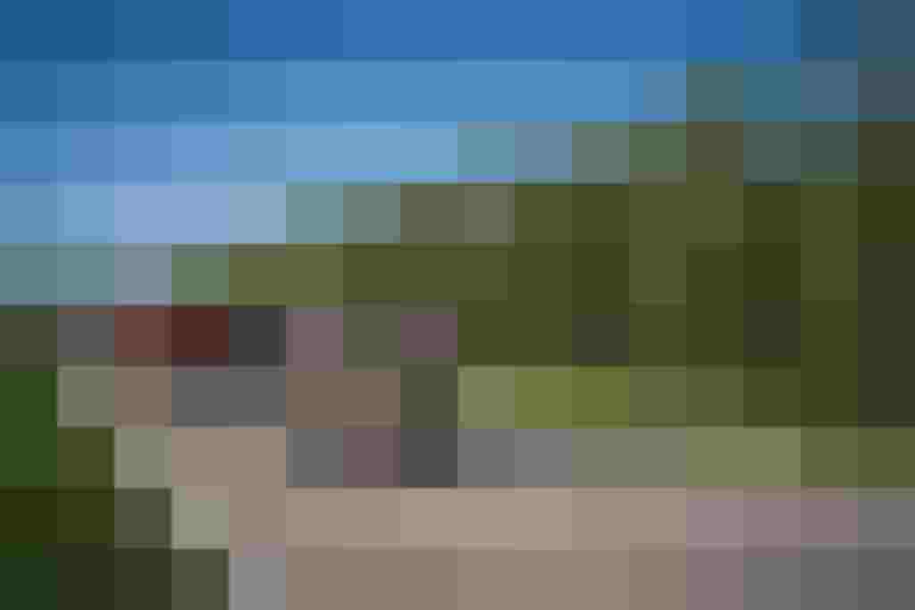 Deelnemers info Wielrennergroep op een landweg, omringd door hopvelden, bij DeutschlandRUSH 2025.