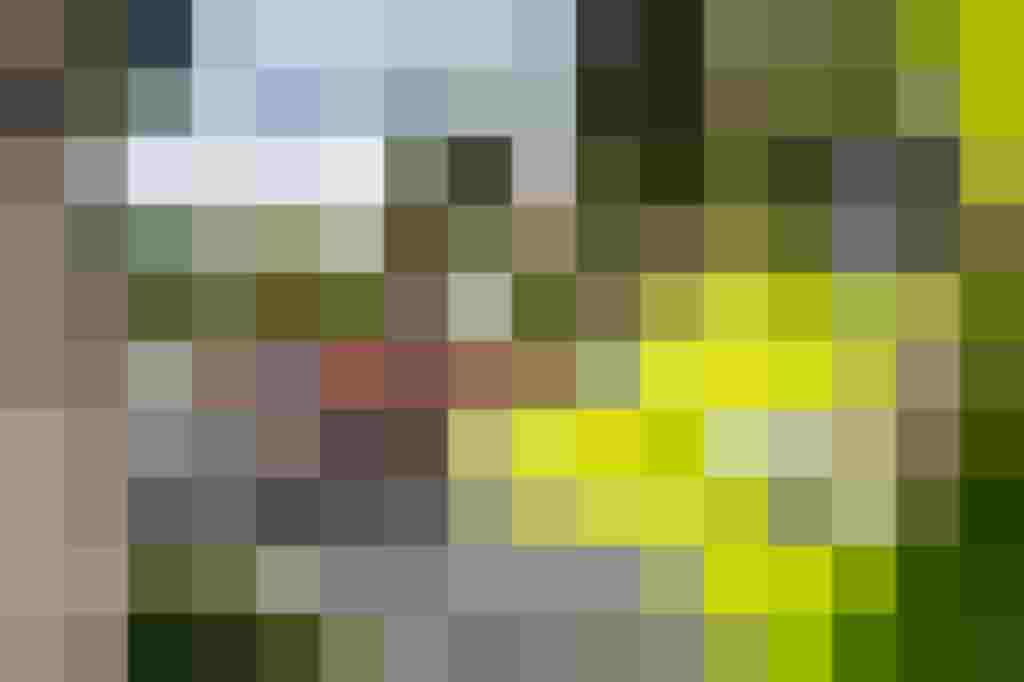 Cyclists in a group on a country road with houses and trees in the background