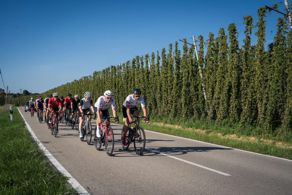 Wielrennergroep op een landweg, omringd door hopvelden, bij DeutschlandRUSH 2025.